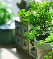 本溪专属于你的开运指南，助你鸿运当头福满身！