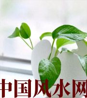 本溪家中摆放六种吉祥物，会打开您的财运大门！