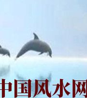 本溪做梦梦到这些，是要富裕的征兆！
